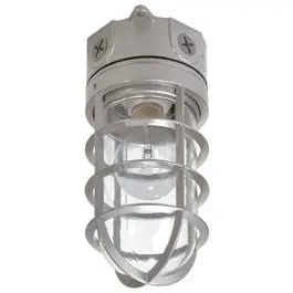 100-Watt Incandescent Floodlight Bulb Guard Outdoor Lighting Cooper Lighting